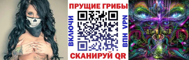 blacksprut ТОР  Полярные Зори  Псилоцибиновые грибы GOLDEN TEACHER 